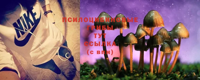 Галлюциногенные грибы Magic Shrooms  Артёмовск 